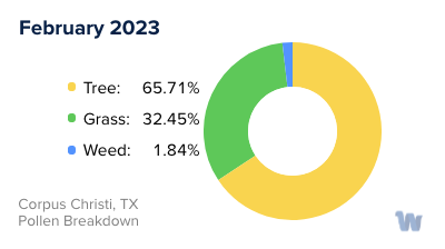 Corpus Christi, TX Monthly Pollen Breakdown