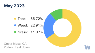 Costa Mesa, CA Monthly Pollen Breakdown
