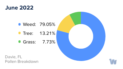 Davie, FL Monthly Pollen Breakdown