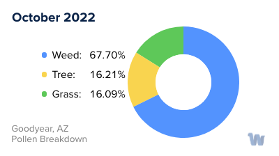 Goodyear, AZ Monthly Pollen Breakdown