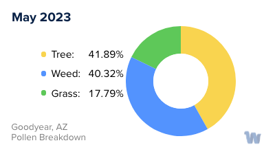 Goodyear, AZ Monthly Pollen Breakdown