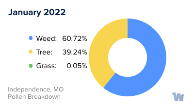 Independence, MO Monthly Pollen Breakdown