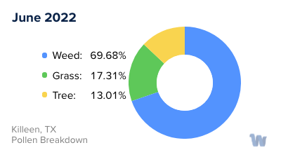 Killeen, TX Monthly Pollen Breakdown