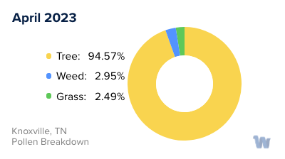 Knoxville, TN Monthly Pollen Breakdown