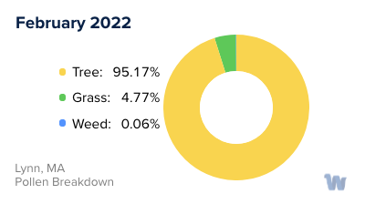 Lynn, MA Monthly Pollen Breakdown