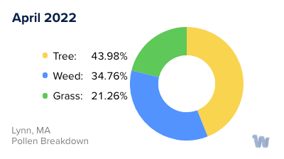 Lynn, MA Monthly Pollen Breakdown