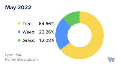 Lynn, MA Monthly Pollen Breakdown