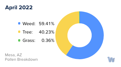 Mesa, AZ Monthly Pollen Breakdown