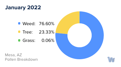 Mesa, AZ Monthly Pollen Breakdown