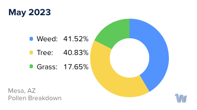 Mesa, AZ Monthly Pollen Breakdown