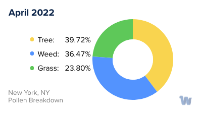 New York, NY Monthly Pollen Breakdown