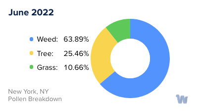 New York, NY Monthly Pollen Breakdown