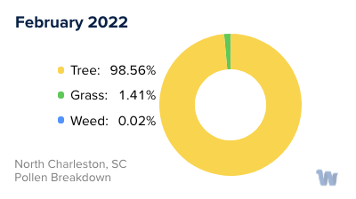 North Charleston, SC Monthly Pollen Breakdown