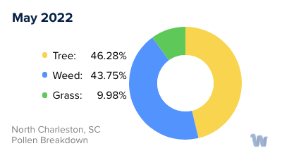 North Charleston, SC Monthly Pollen Breakdown