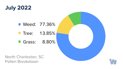 North Charleston, SC Monthly Pollen Breakdown