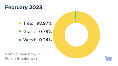 North Charleston, SC Monthly Pollen Breakdown