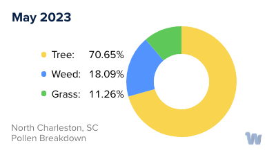 North Charleston, SC Monthly Pollen Breakdown