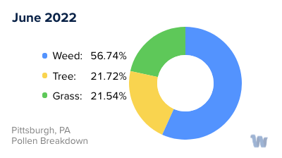 Pittsburgh, PA Monthly Pollen Breakdown