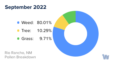 Rio Rancho, NM Monthly Pollen Breakdown