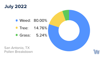 San Antonio, TX Monthly Pollen Breakdown