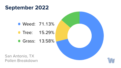 San Antonio, TX Monthly Pollen Breakdown