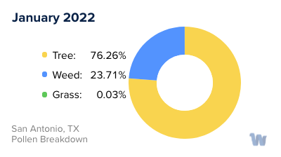 San Antonio, TX Monthly Pollen Breakdown