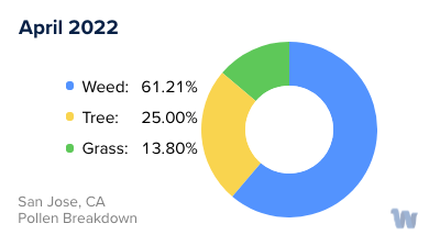 San Jose, CA Monthly Pollen Breakdown