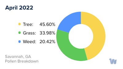 Savannah, GA Monthly Pollen Breakdown