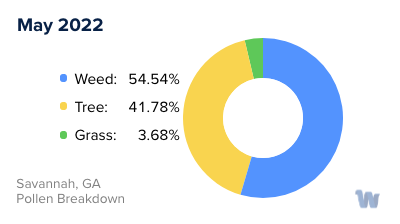 Savannah, GA Monthly Pollen Breakdown