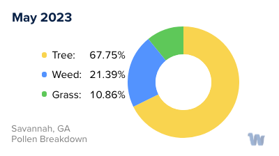Savannah, GA Monthly Pollen Breakdown