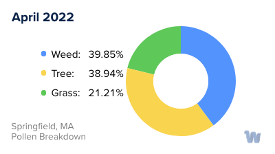 Springfield, MA Monthly Pollen Breakdown