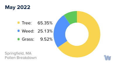 Springfield, MA Monthly Pollen Breakdown