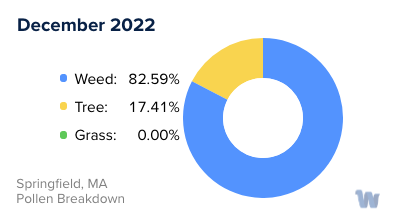 Springfield, MA Monthly Pollen Breakdown