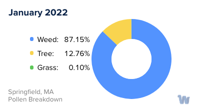 Springfield, MA Monthly Pollen Breakdown