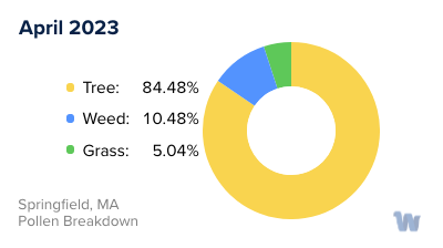 Springfield, MA Monthly Pollen Breakdown
