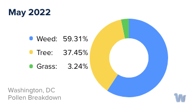 Washington, DC Monthly Pollen Breakdown