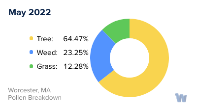 Worcester, MA Monthly Pollen Breakdown