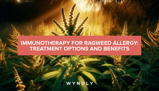 A beautiful, photorealistic photograph of ragweed plants growing in a field during late summer, with golden sunlight highlighting the distinctive green leaves and flower spikes.