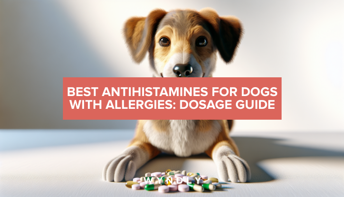 Best Antihistamines for Dogs: Safe Dosage Guide (2026) & Wyndly