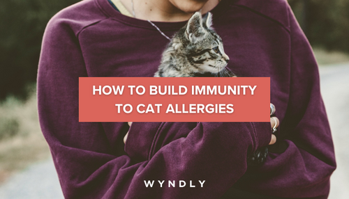 How to Build Immunity to Cat Allergies: Effective Tips That Work