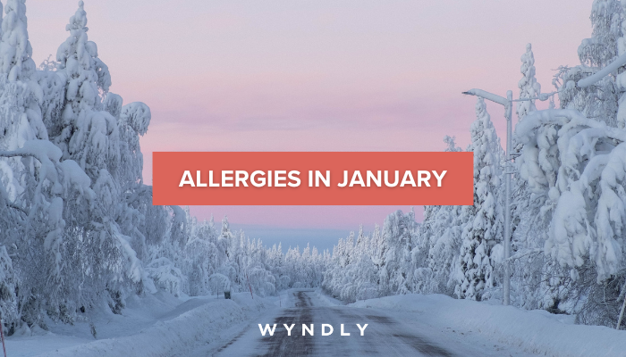Allergies in January: Symptoms, Diagnosis, and Treatment (2024) & Wyndly