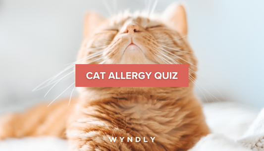 Do I Have a Cat Allergy Quiz - Find Out Here