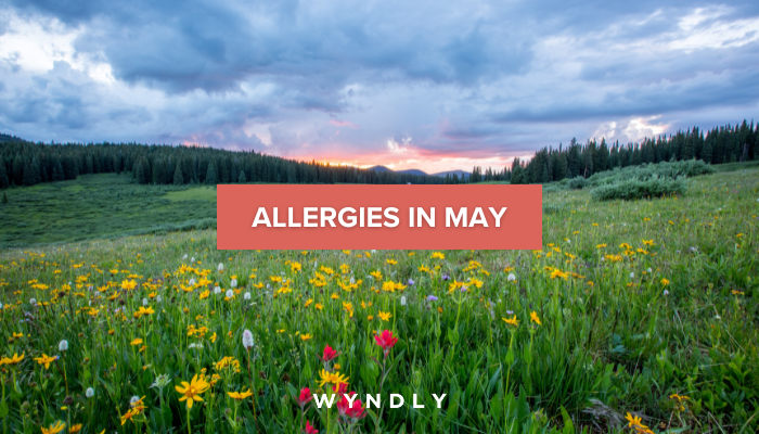Allergies in May: Symptoms, Diagnosis, and Treatment (2024) & Wyndly
