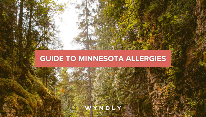 Minnesota Allergy Guide: Symptoms and Treatment 2026