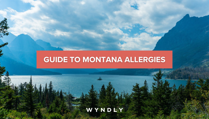 Montana Allergy Guide: Symptoms and Treatment (2024) & Wyndly
