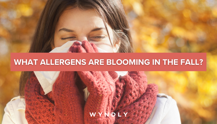 What Allergies Are Common in the Fall? 2026 & Wyndly