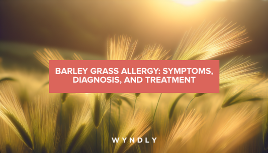 A beautiful, photorealistic photograph of barley grass swaying gently in a sunlit field with a soft, blurred background.