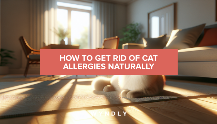 Natural Remedies for Cat Allergies That Work (2026) & Wyndly