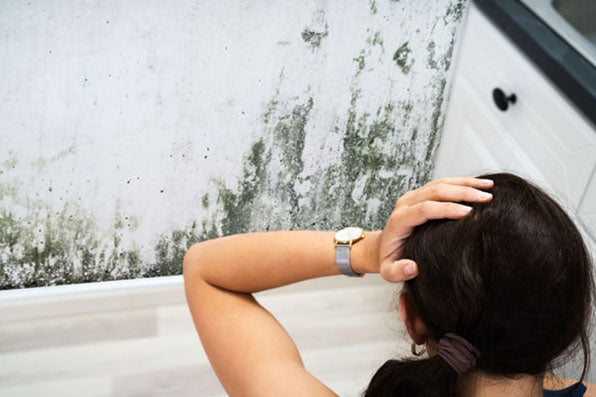 Mold can cause allergies and asthma. See if you’re affected.