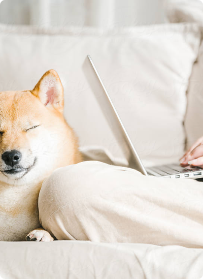 Human with laptop sitting on bed with dog